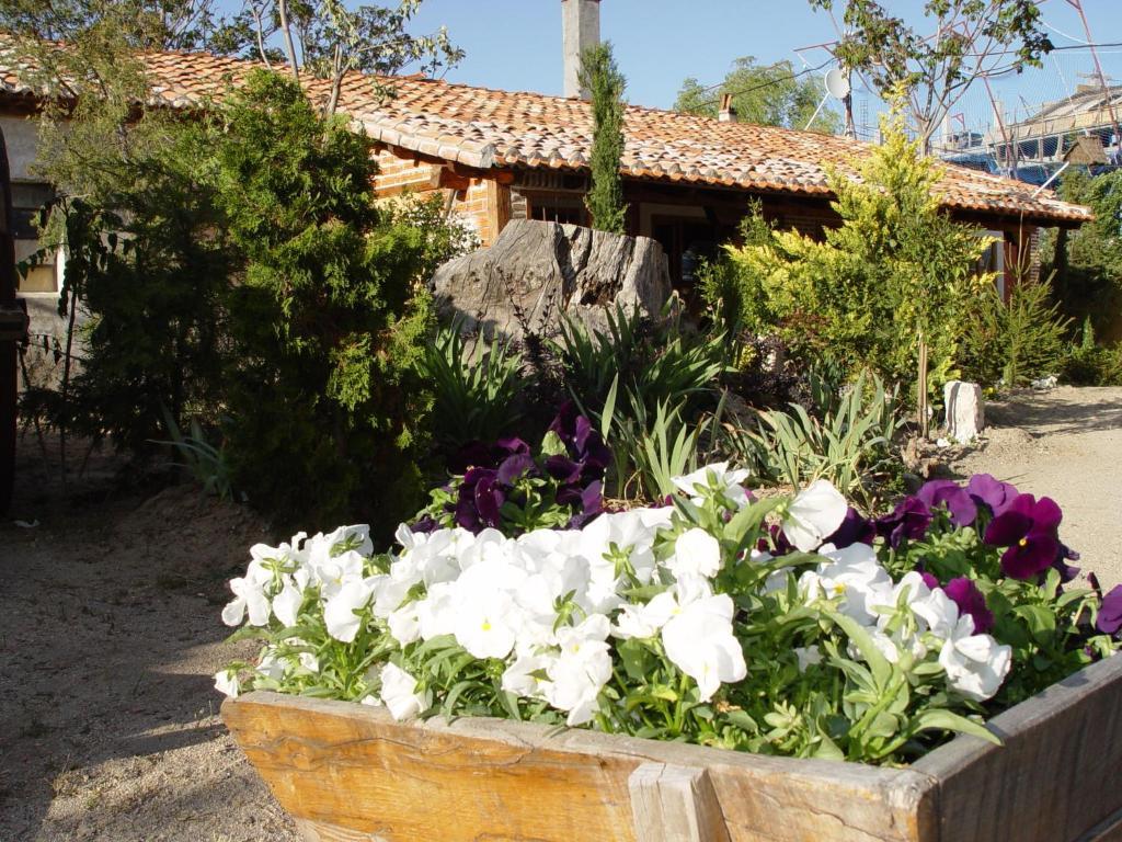 Hospedium Hacienda Las Cavas أولميدو المظهر الخارجي الصورة